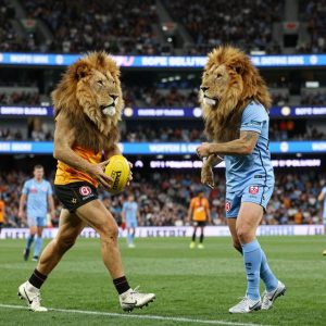Lions đối đầu Perth Glory: Cơ hội nào cho đại diện Queensland NPL?